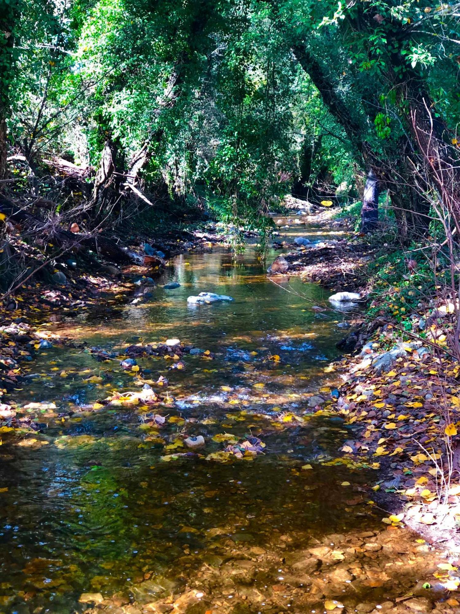 Alojamiento Rural El Castano Fuenteheridos Exterior foto